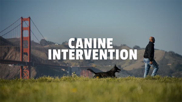 canine intervention