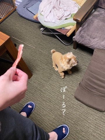 20210129134018ece.jpeg