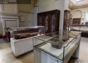 Tutankhamun11.jpg