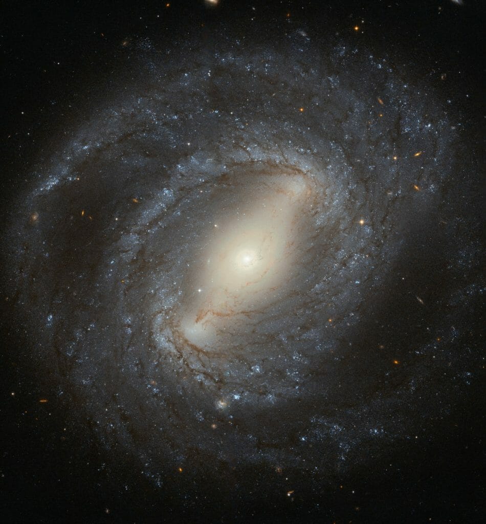 真上（真下）に近い角度から観測できる銀河の一例