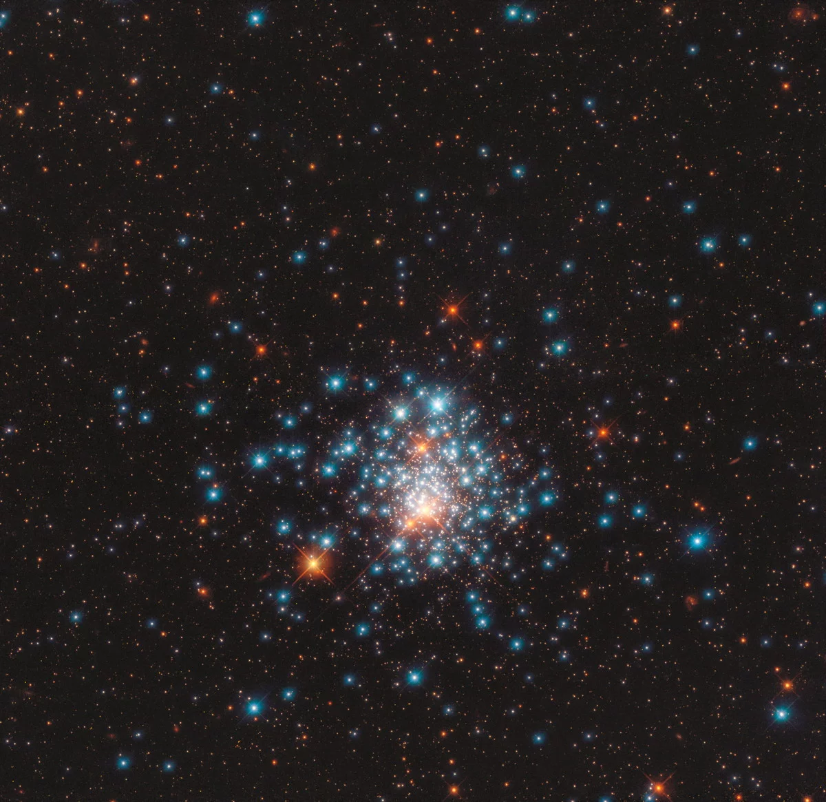 球状星団「NGC 1805」