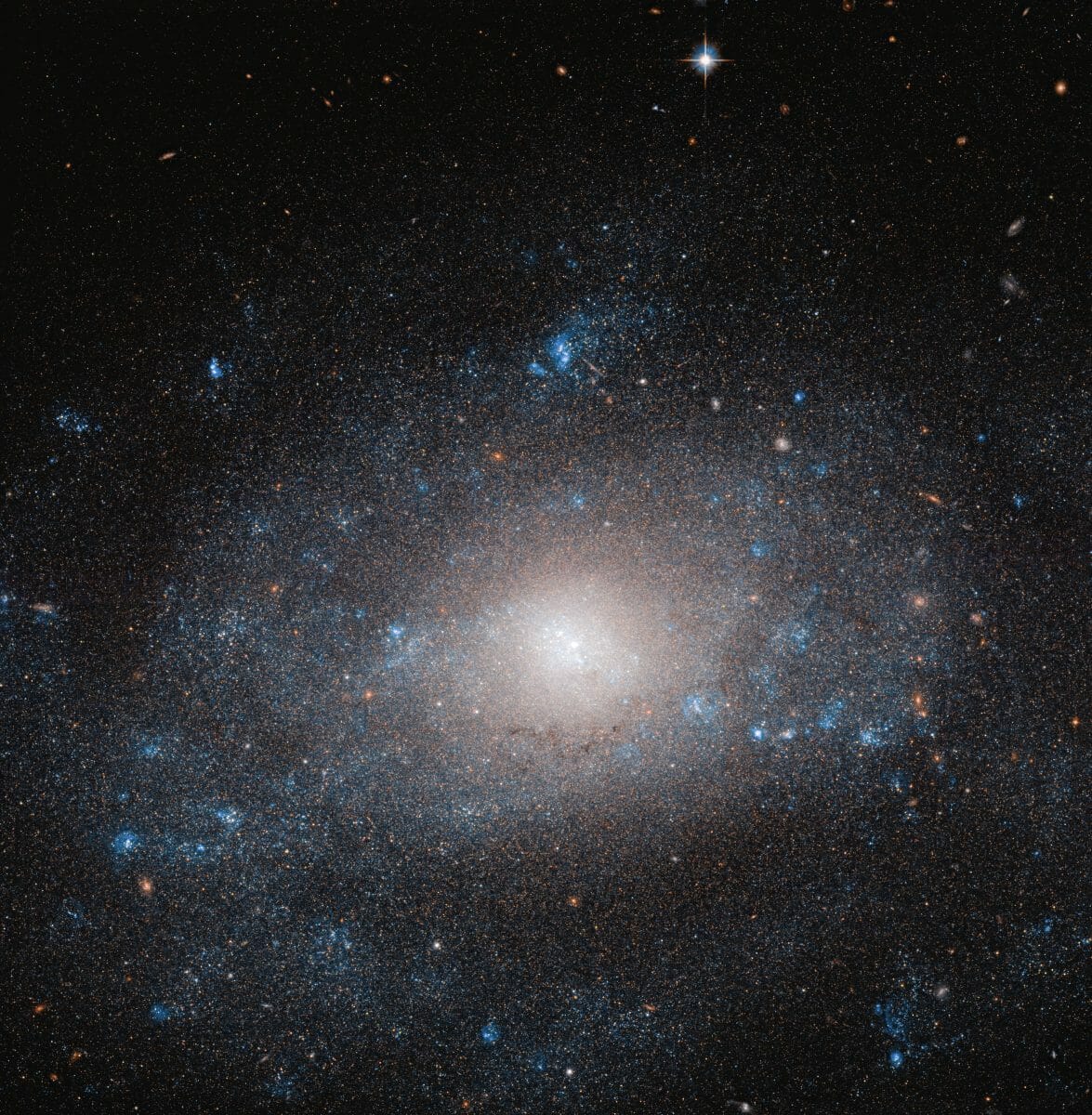 渦巻銀河「NGC 5585」
