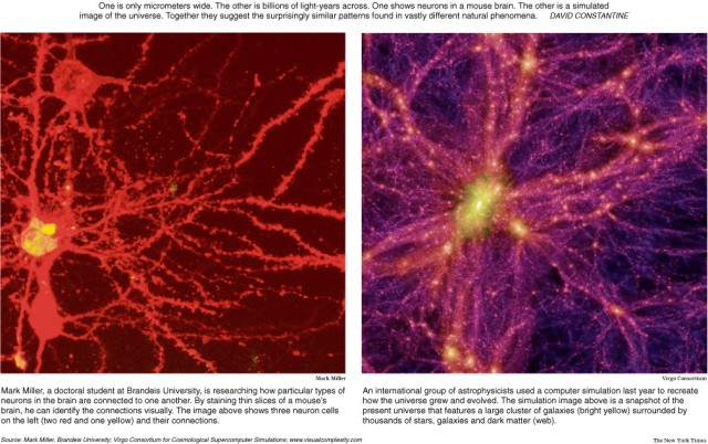 脳と宇宙の共通点が明らかに 1