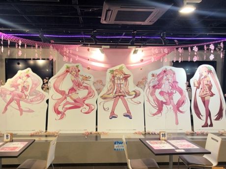 『桜ミク』のコラボレーションカフェ