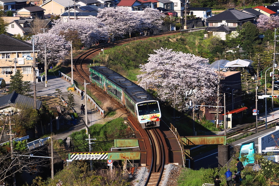 20-04-05アンパンマン列車と桜