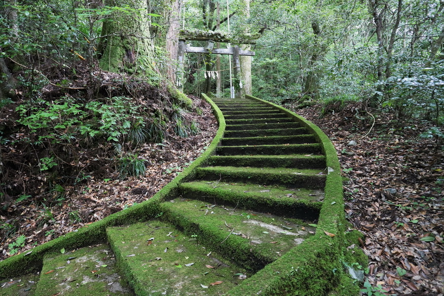 20-07二所神社への苔の階段