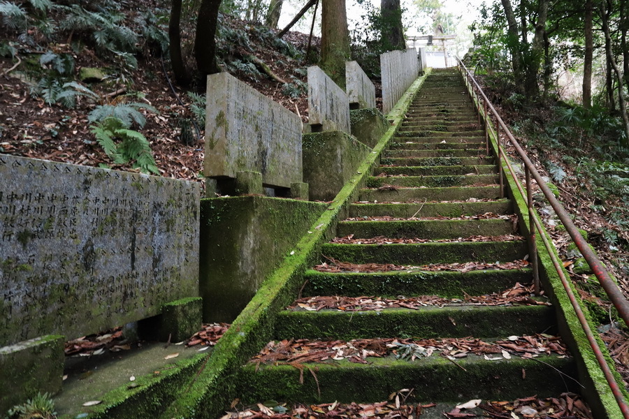 20-07二所神社への苔の階段4