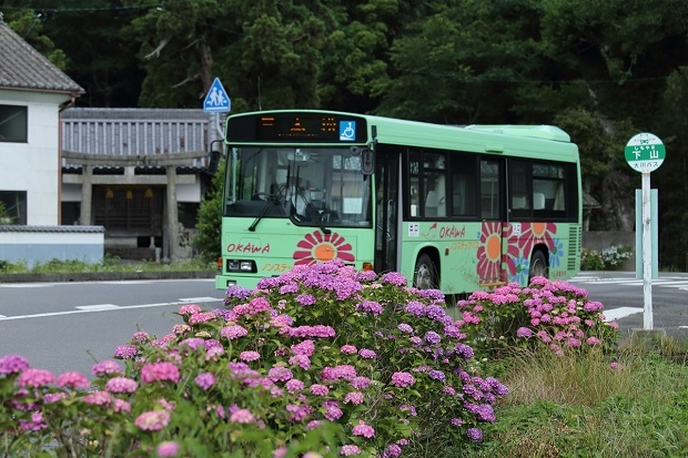 下山バス停　福栄　紫陽花