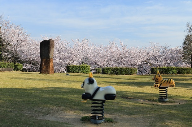 とらまる公園　桜　2020