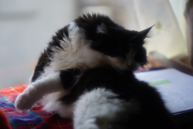 DSC01303.jpg