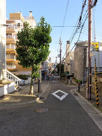 amat2020110101.jpg