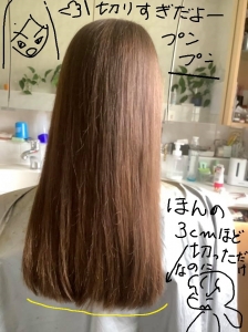 これだけ長い髪なのに 1～2cmの違いで何か不都合でもあるの？