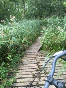 湿地帯の木道は自転車を押して歩いた