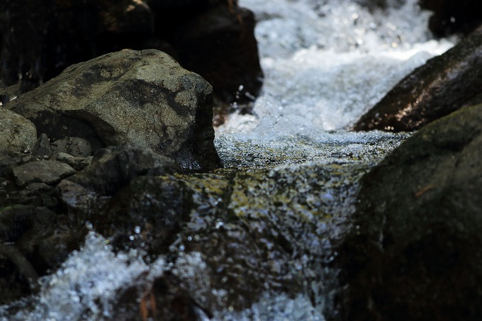 s-s210419260.jpg