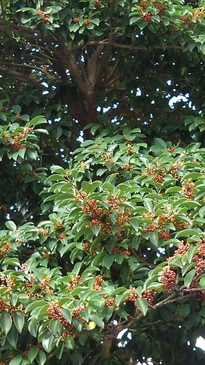 20201024-3.jpg