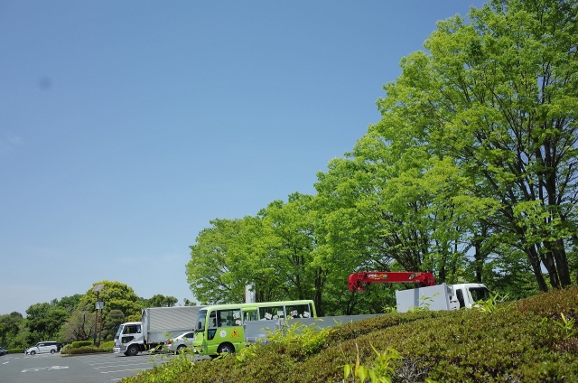 2021-04-27 武蔵野うどん 五六 丸山公園 上尾 001