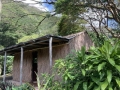 Waioli