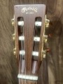 The Martin Guitar