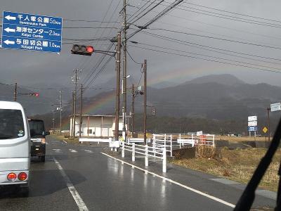 虹 柏屋木材