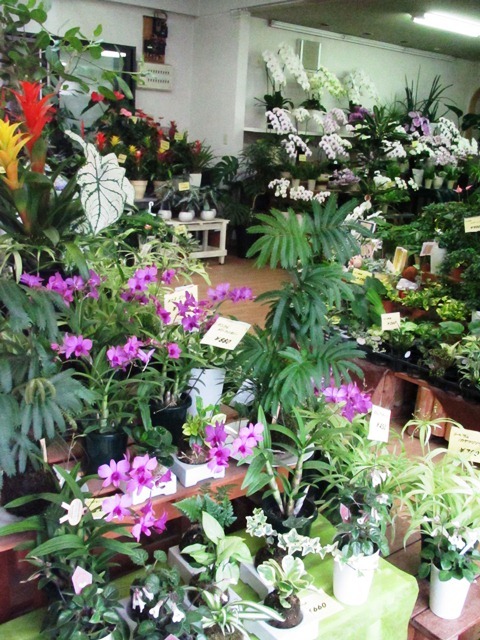 輸入 ガーデニング 花 植物 ＤＩＹ 関連 シンプルなデザインの表札