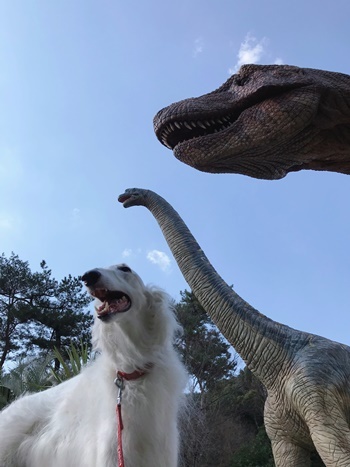 変換恐竜と3