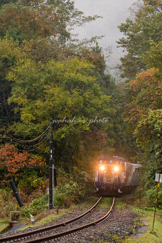 201107orochi-20b_500.jpg