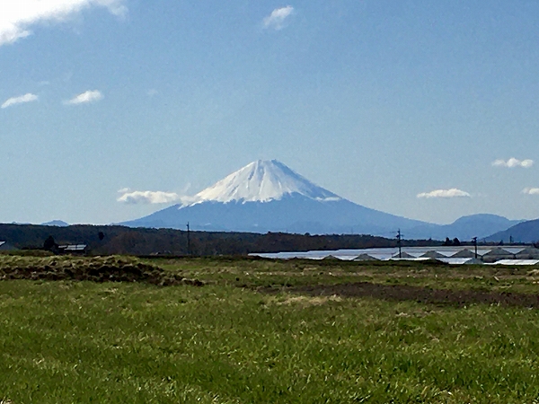 20201419富士山最高 (4)